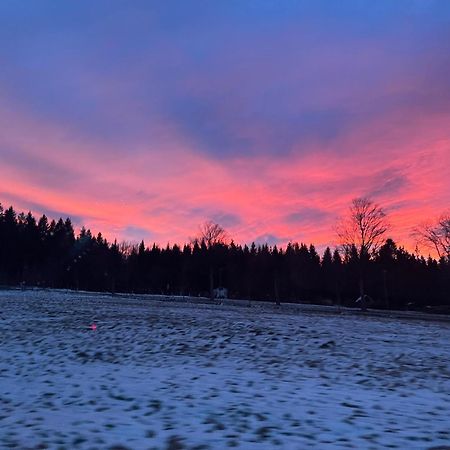 Waldhotel Zoebischhaus Bad Reiboldsgrün Buitenkant foto