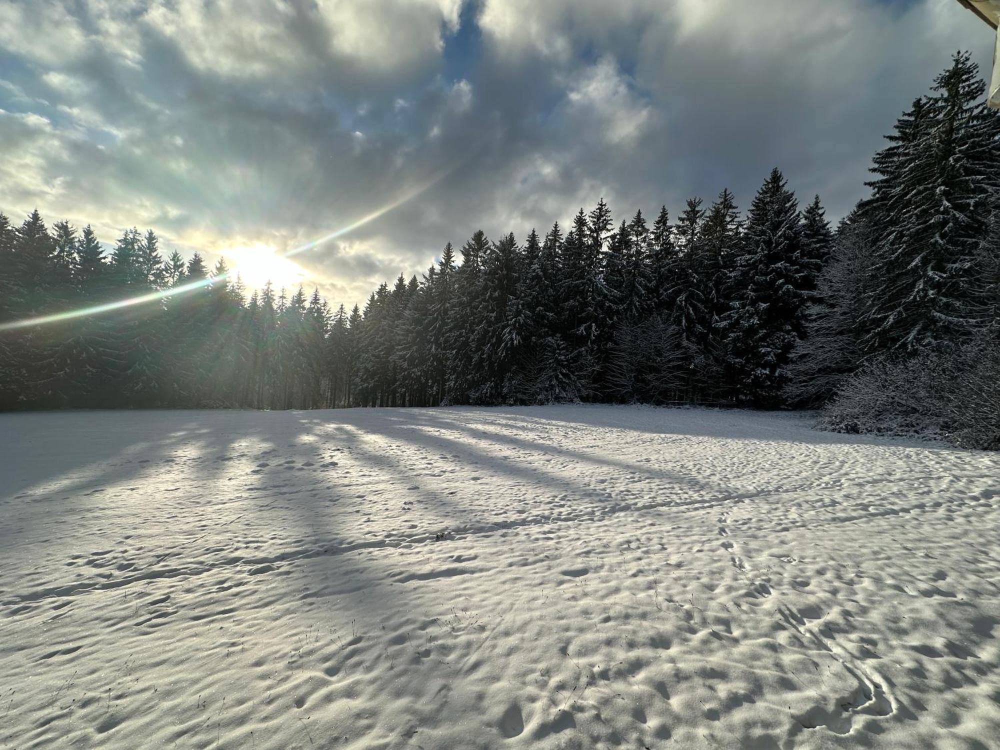 Waldhotel Zoebischhaus Bad Reiboldsgrün Buitenkant foto