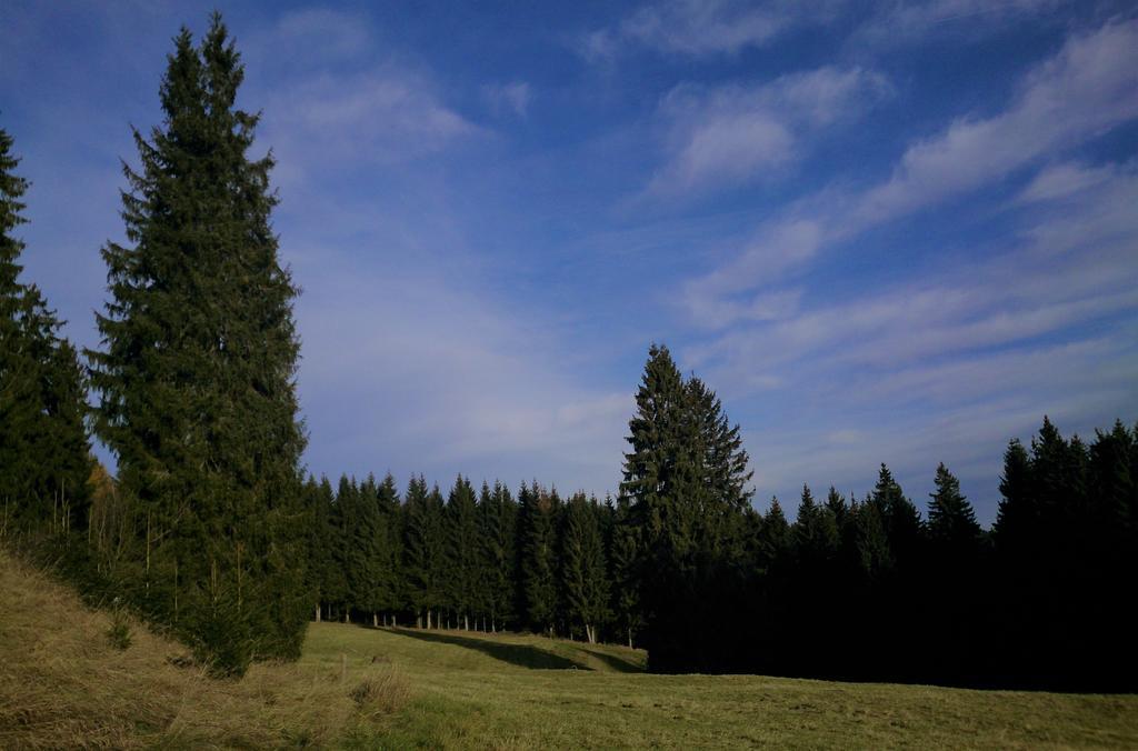 Waldhotel Zoebischhaus Bad Reiboldsgrün Buitenkant foto