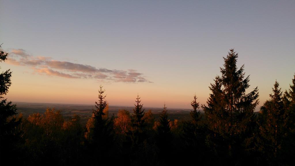Waldhotel Zoebischhaus Bad Reiboldsgrün Buitenkant foto